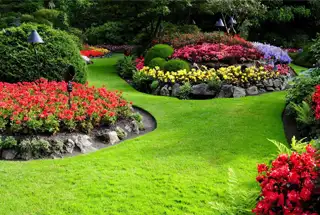Landscape Garden
