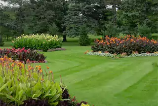 Central Lawn
