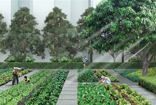 Organic Garden