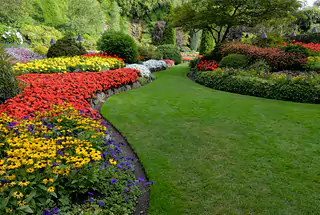 LAND SCAPED GARDEN