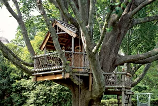 Treehouse