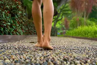 Reflexology Path