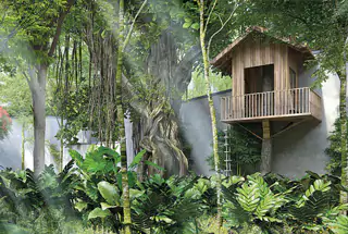Tree House