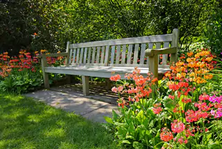 Landscaped Area