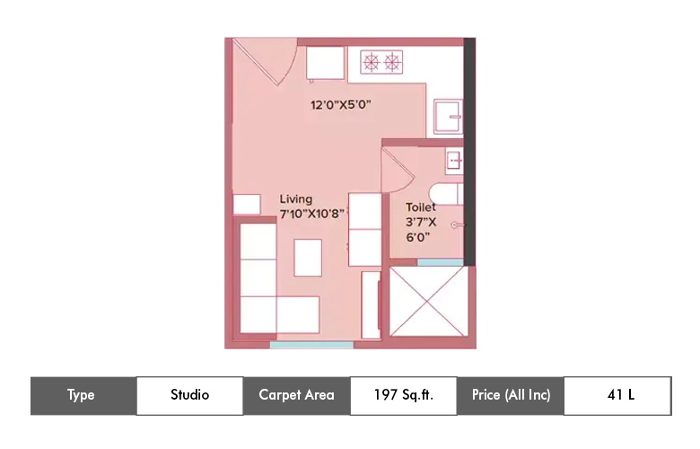 Studio-197 Sq.ft.