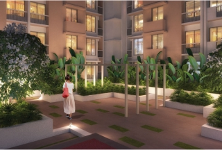 Senior Citizen’s Corner