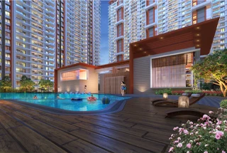 Pool Deck