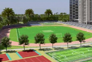 Cricket Pitch