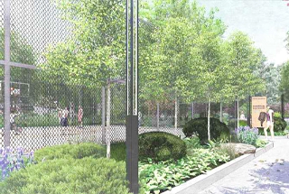 Cricket Practise Net
