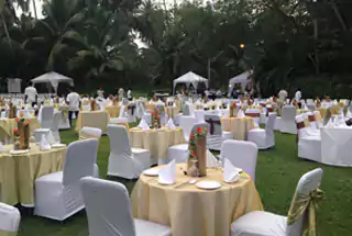 Party Lawn