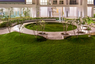 Landscaped Garden