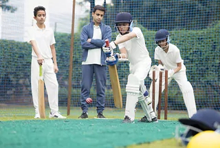Cricket Pitch