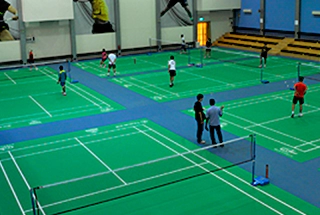 Badminton Court