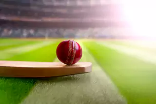 Cricket Pitch