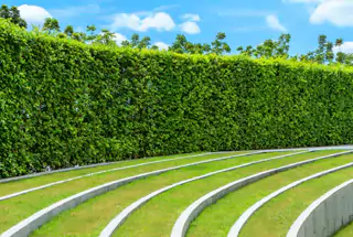 Amphitheatre