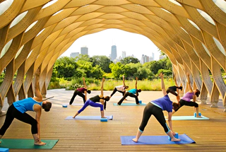 Yoga Zone