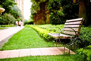 Lawn With Seating