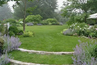 Landscape Garden