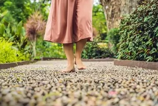 Reflexology Path