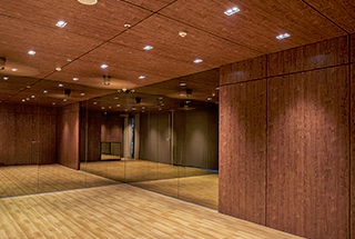 Performance Studio
