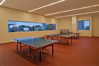 Table Tennis Court