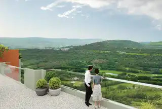 Terrace Garden