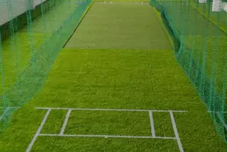 Cricket Pitch