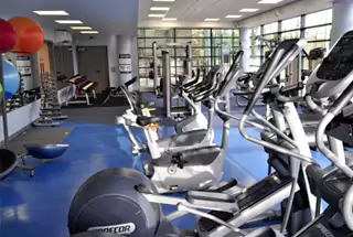 Gymnasium