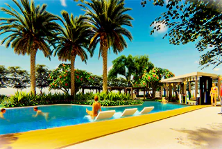 Island Forest Pool