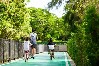 Jogging Track