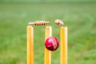Cricket Pitch