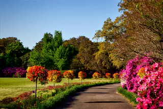 Flower Garden