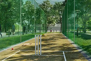 Cricket Pitch