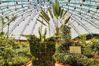 Butterfly Park