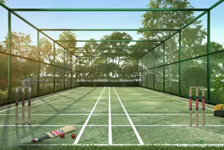Cricket Pitch