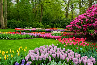 Landscaped Greens