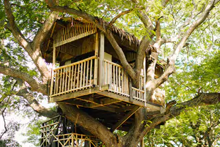 Treehouse