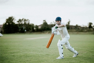 Cricket Pitch