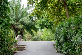 Landscape Garden