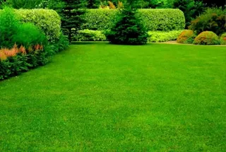 Landscaped Greens