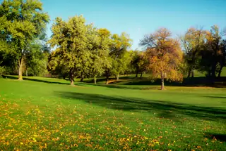 Landscaped Garden