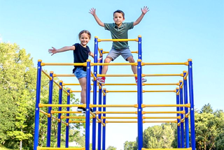 Jungle Gym