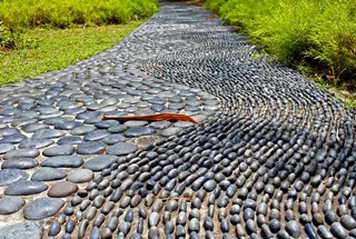 Reflexology Pathway