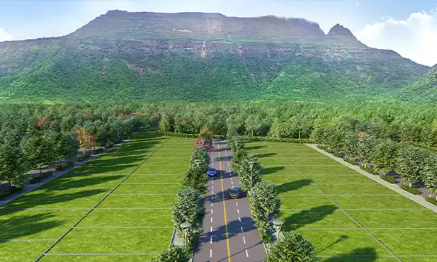 Wadhwa The Haven Overview