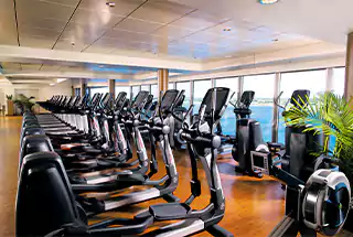 Gymnasium